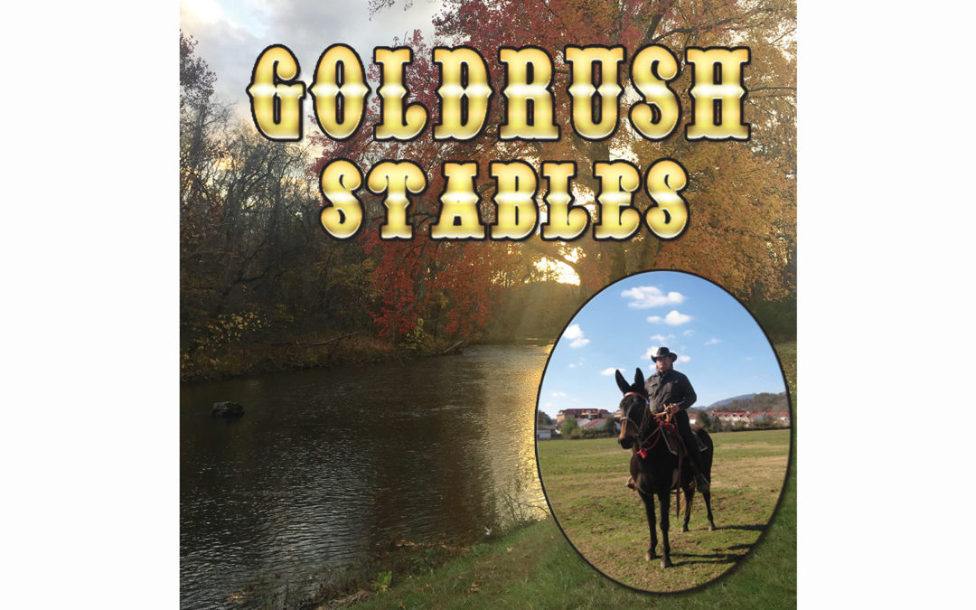 GOLDRUSH STABLES