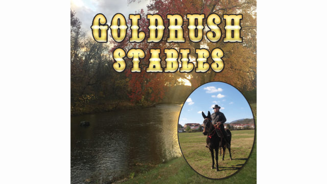 GOLDRUSH STABLES