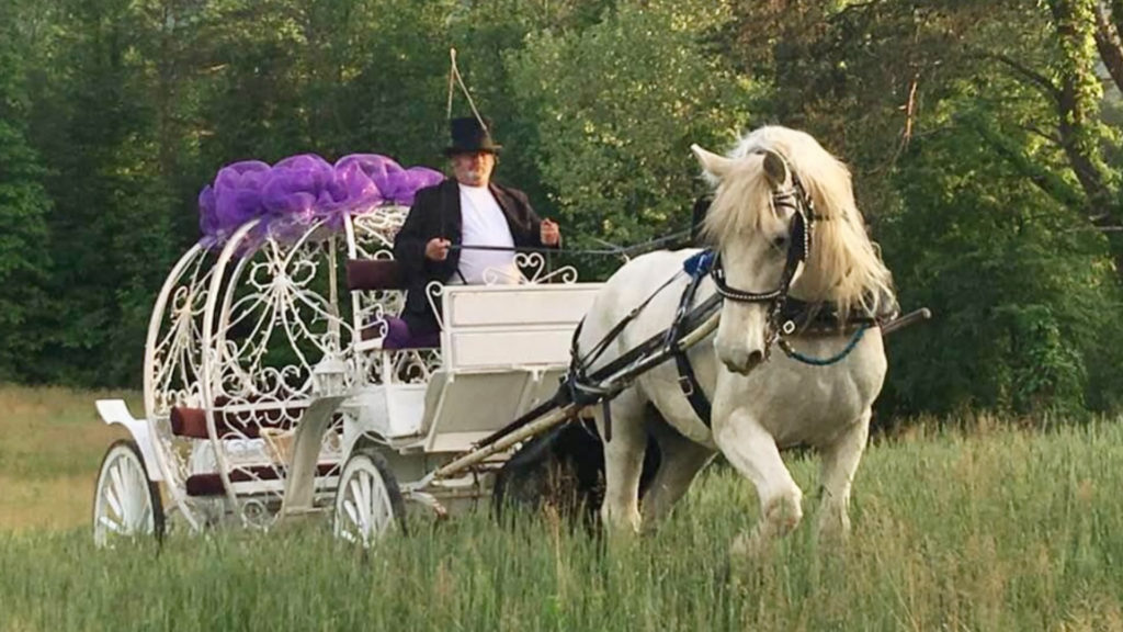 Heritage Carriage Rides – slide photo – carriage in field